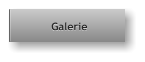 Galerie Galerie
